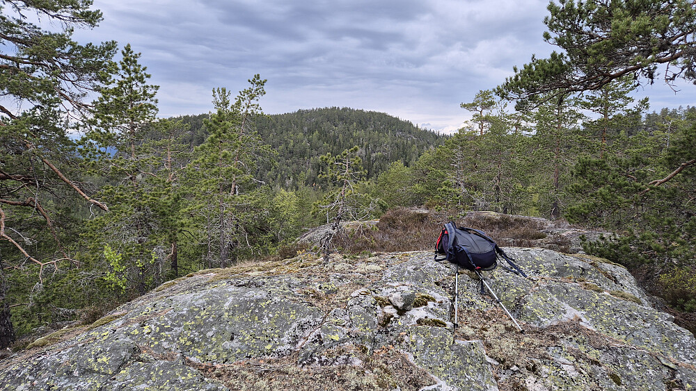 På toppen av Meheifjellet (382), hvor det kanskje var best utsikt mot Stulsfjellet (480), som her ses i bakgrunnen midt i bildet.