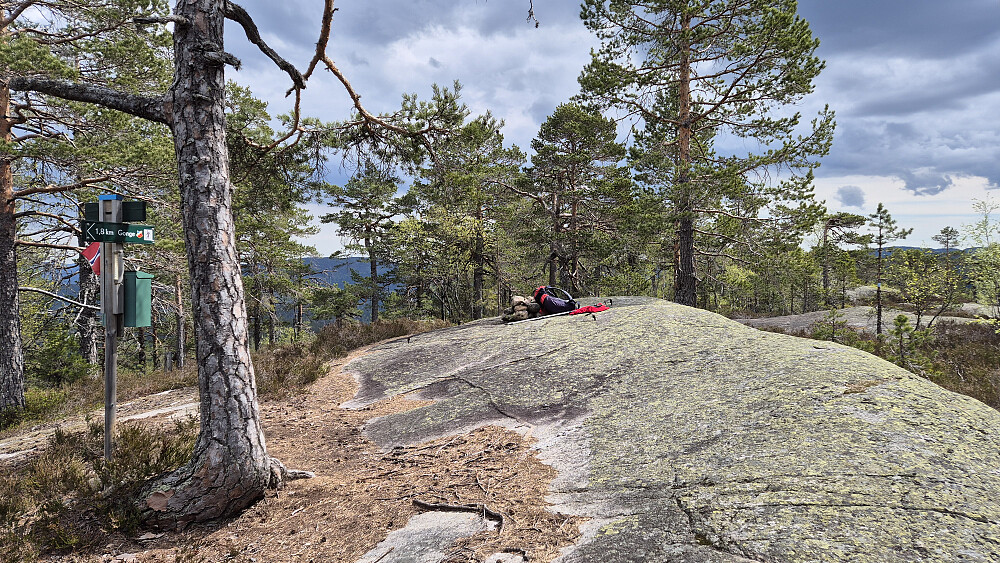 Trivelig og fint på toppen av Meheia (431).
