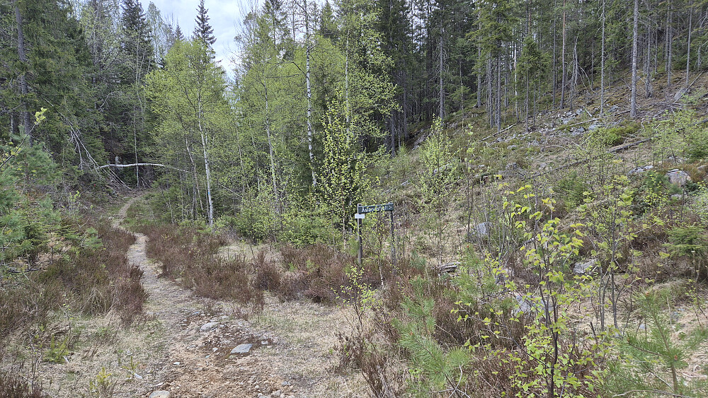 Drøyt 100 meter fra parkeringen kom jeg til stikrysset hvor rundturen startet. Her er det skiltet mot Åslandsfjell opp til høyre. På returen kom jeg fra stien til venstre i bildet.