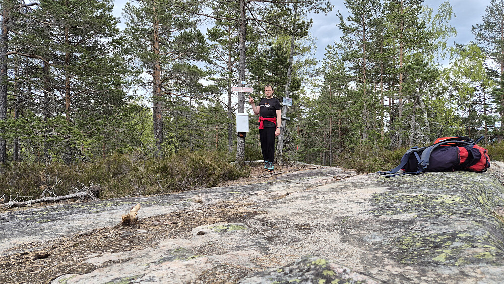 Det er postkasse og skiltet på toppen av Åslandsfjellet (358).