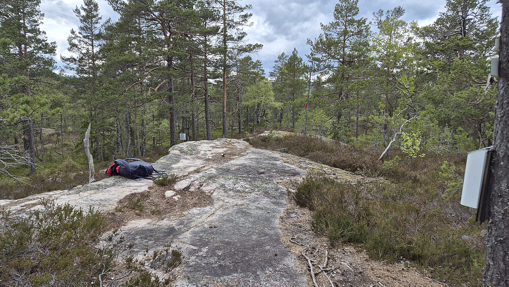 Toppunktet på Åslandsfjellet (358). Ingen utsikt herfra.