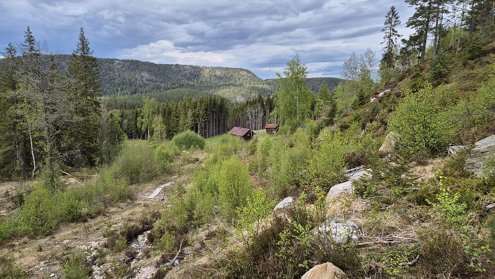 Sentralt i bildet ligger gården Åsland. Stien/traktorveien som ses nede til venstre i bildet, er den jeg fulgte sørvestover i retning bilen. I bakgrunnen til venstre ses den sørlige delen av Meheia (431).