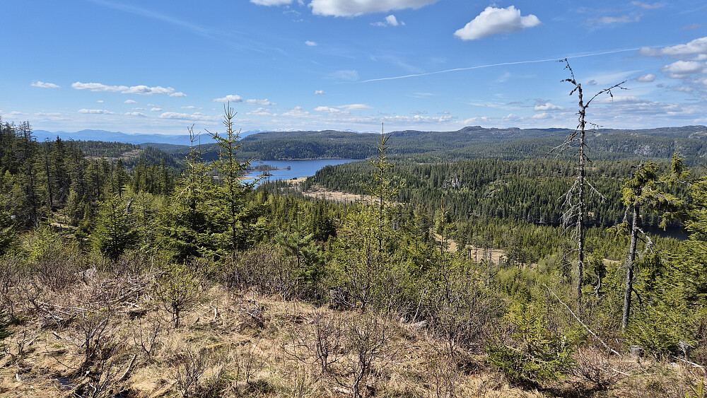 Like før jeg forlot traktorveien under oppstigningen mot Svanstulfjellet (723), hadde jeg god utsikt. Her mot nordvest. Vannet i bakgrunnen er Svanstulvatn. Den ganske markerte toppen bak og litt til høyre, er Narefjell (805).