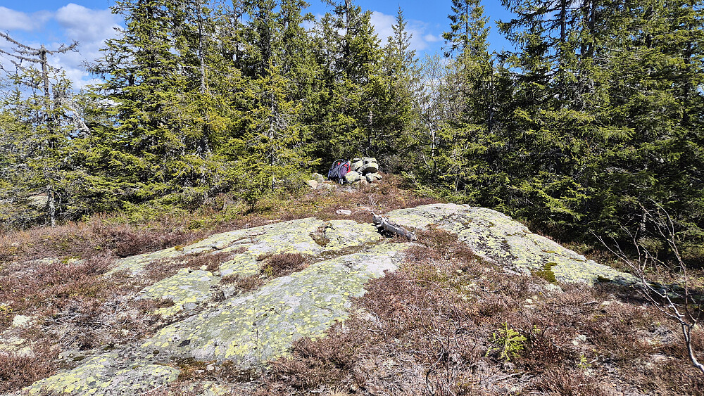 Toppvarden på Svanstulfjellet (723), omringet av trær unntatt den retningen jeg tok bildet fra. Ikke den mest spennende toppen, men fine forhold og trivelig å være ute i naturen.