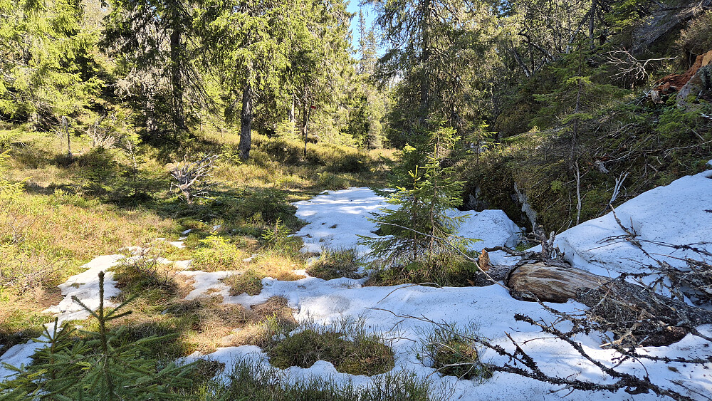 I skaret mot Svanstulfjellet Sørvest (712) var det skyggefullt. Her lå det igjen noe snø.