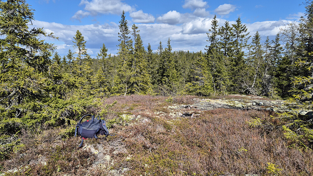 På toppen av Svanstulfjellet Sørvest (712). Høyden som ses i bakgrunnen er høyeste Svanstulfjellet (723).