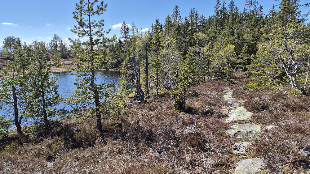 Til høyre går stien jeg fulgte et stykke vest for Svanstulfjellet. Vannet nedenfor til venstre er tjern 666 moh.
