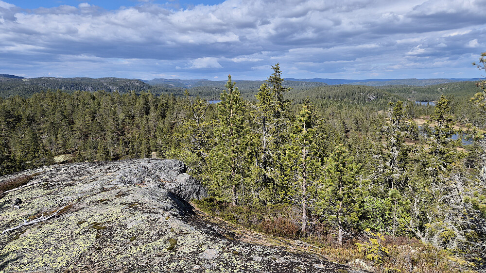 Fra toppen Øst for Flekkerhytta (670) var det bra utsyn i flere retninger. Dette bildet er tatt mot nord-nordøst.