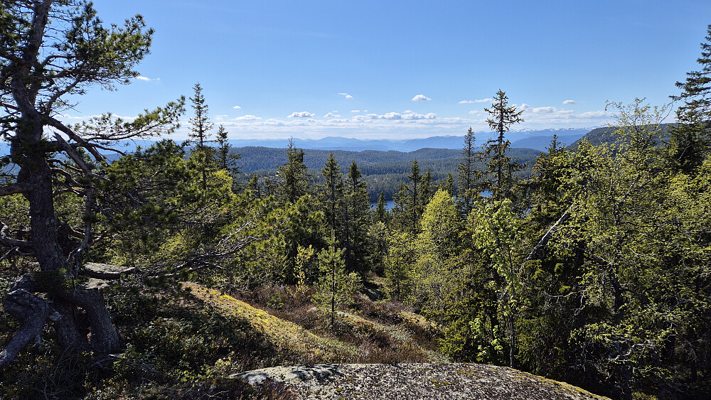Mot vest ser man veldig langt fra toppen Øst for Flekkerhytta (670). I det fjerne er bl.a. snødekte Lifjell synlig til høyre, og mer midt i bildet kjempen Brokefjell/Mannslagarnuten (1074).