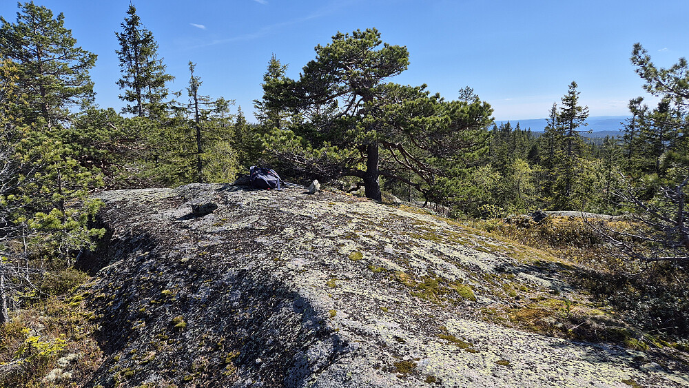 Trivelig og fint toppunkt på høyden Øst for Flekkerhytta (670). Dette er også et trig. punkt, så her var det jernbolt i fjellet.