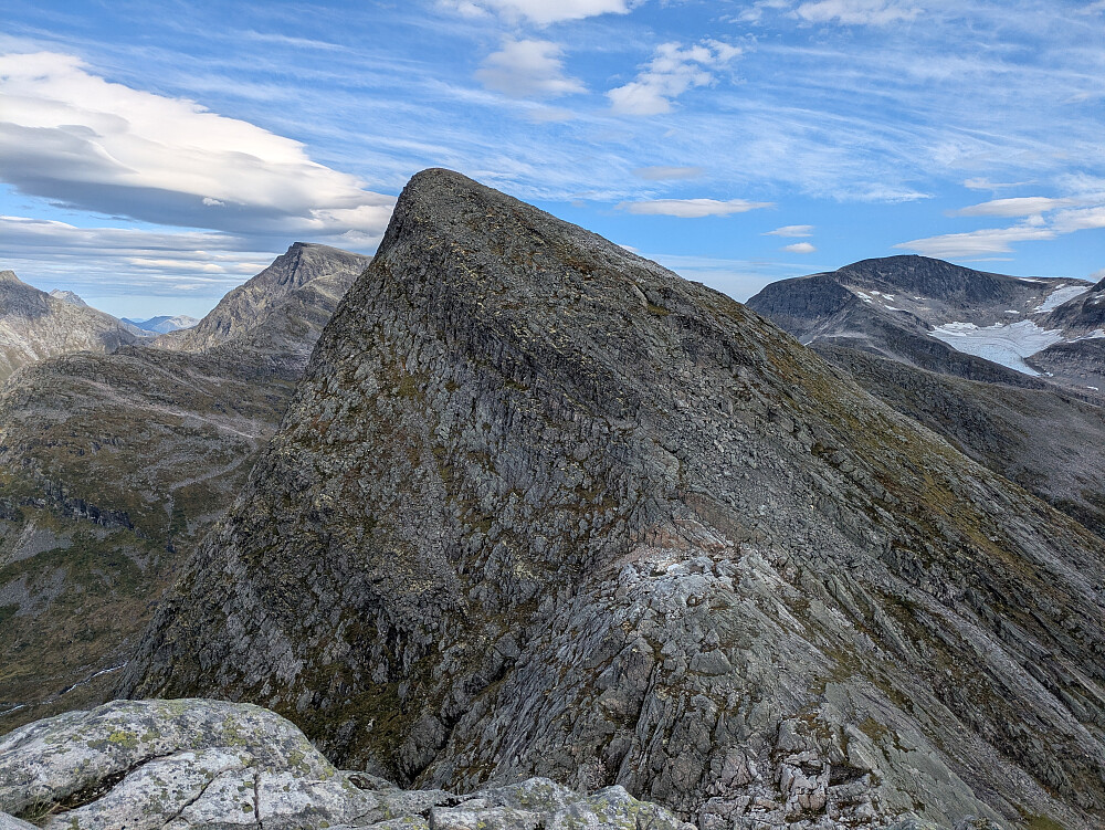Mot Berlifjellet