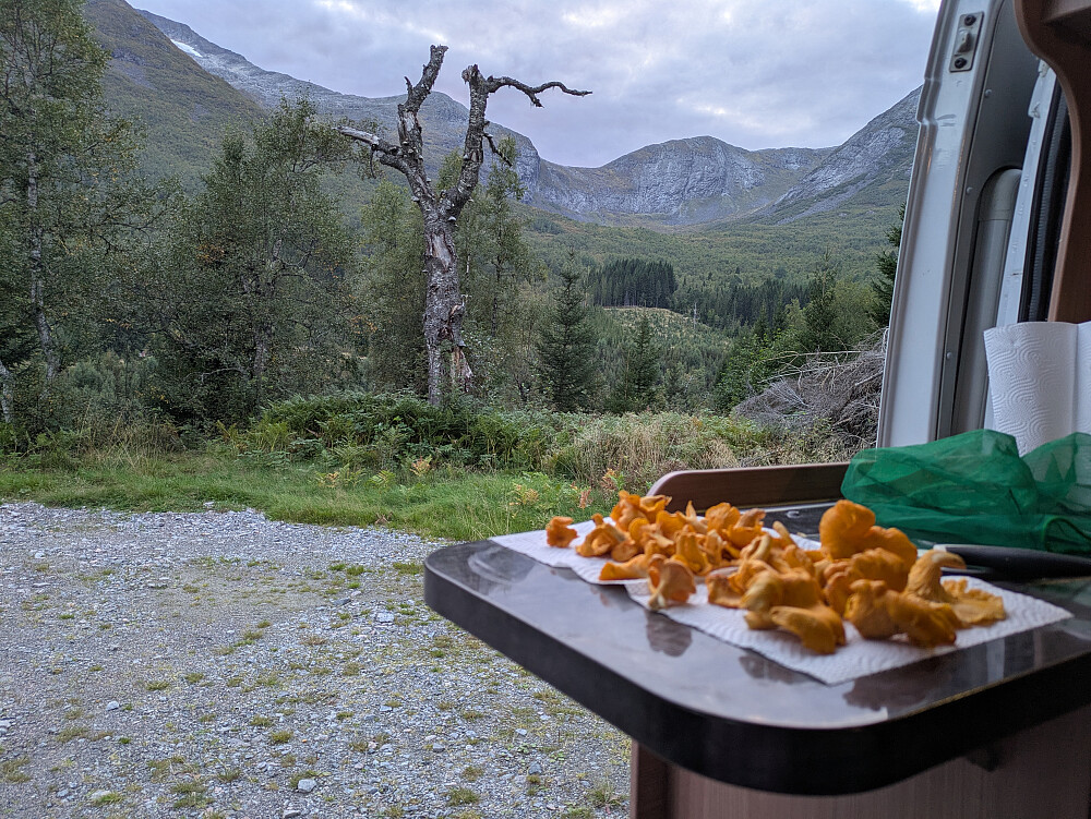 Fangst på tampen av turen:-)