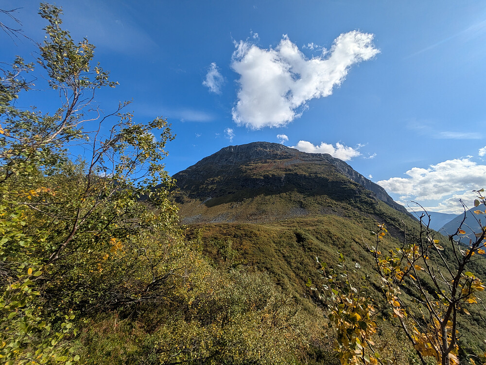 Mot Alstadfjellet 