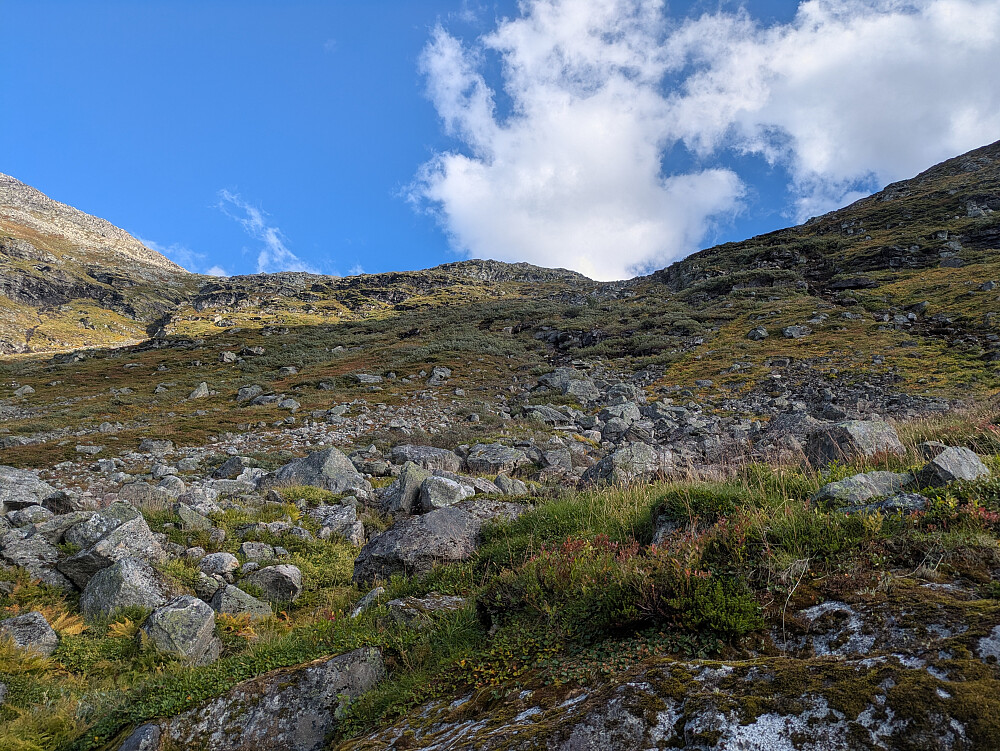 Oppgangen fra Dalen 