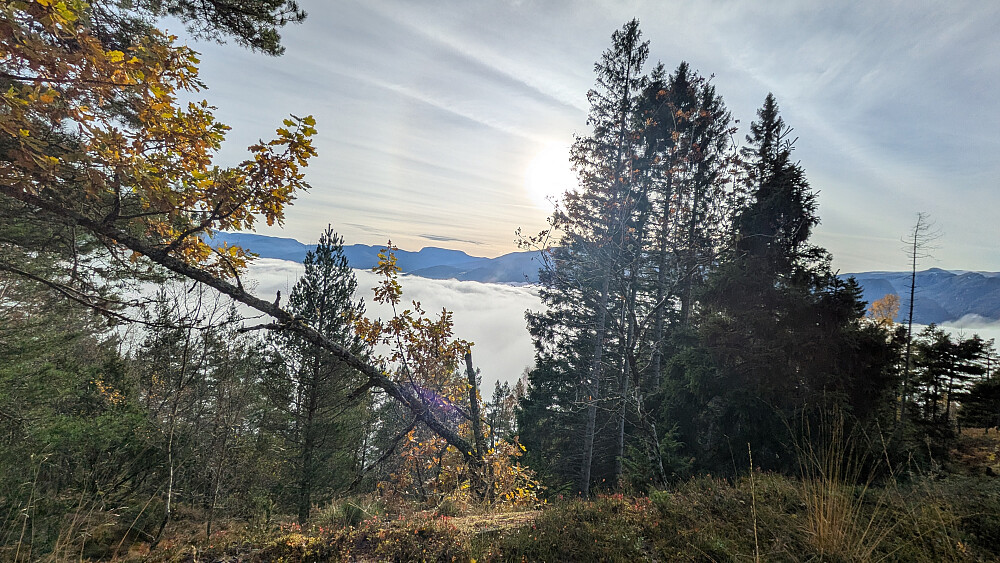Siste luftetur før busstur til Bergen 