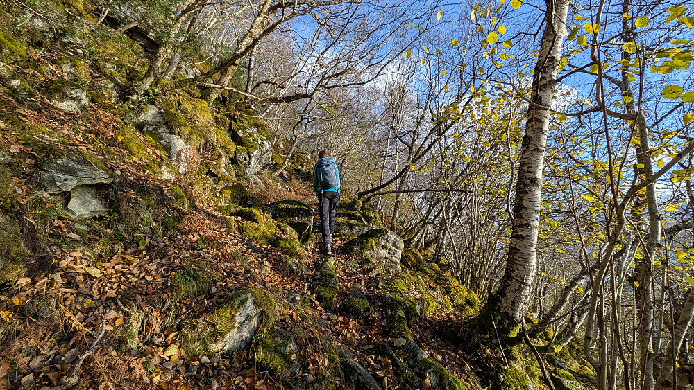 Flott sti oppover mot Sulebakkhornet