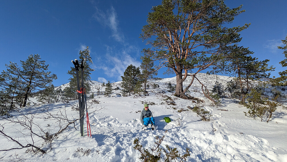 Flott lunsjpause i sila