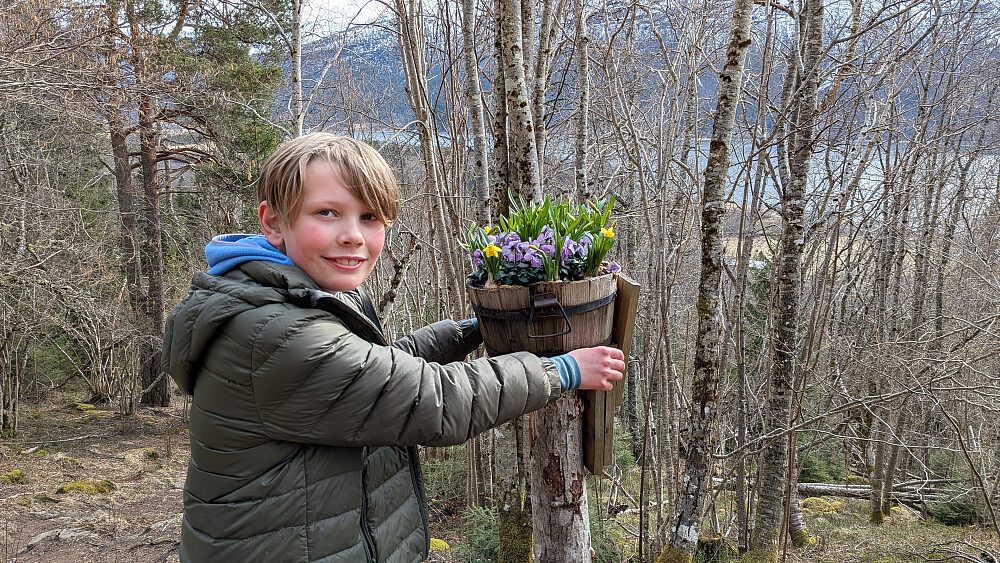 Noen har gjort seg flid å sette opp påske blomster, veldig flitt