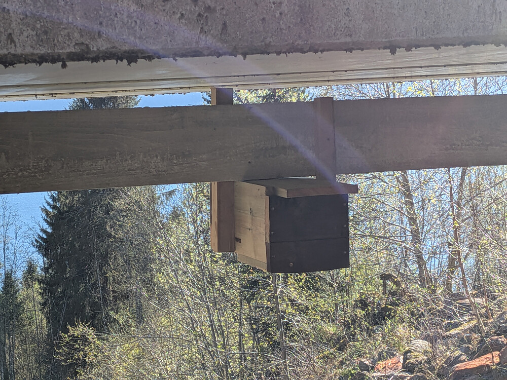 Sjekk av fossekallkasser