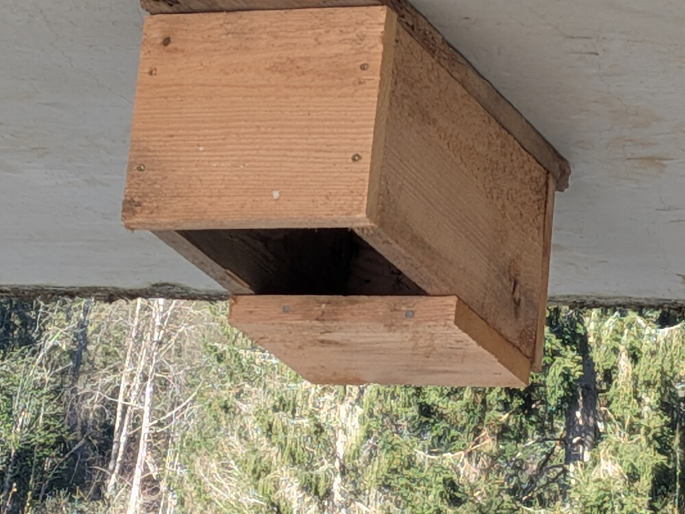 Sjekk av fossekallkasser