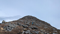 ligroenb_20260516_6a0894ca6524b.jpg