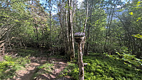 ligroenb_20260519_6a0c851f2a97e.jpg