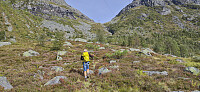Marked trail north from Norddalen