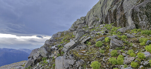 The last part of the ascent from the wide ledge east of Grønhaug
