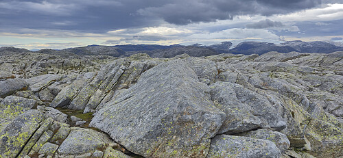 The highest point at Grønhaug