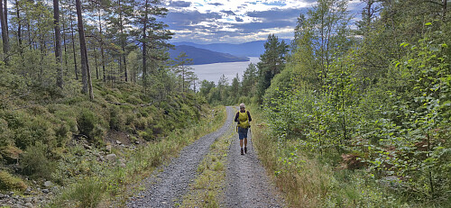 Following the gravel road to Årvik