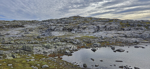 Approaching the highest point at Langvasshaugane
