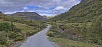 Brekkedalen and Storestølen