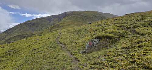 The marked trail to Vetlafjellet