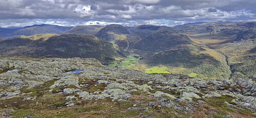 Nosi from Vetlafjellet