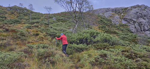 Getting near the summit