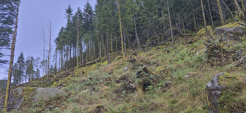 The start of my off-trail ascent to Giskanuten