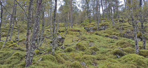Off-trail ascent to Giskanuten