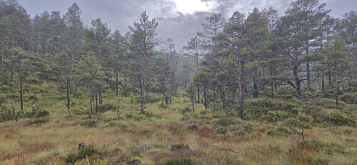 Off-trail ascent to Nordvest for Jonåsen