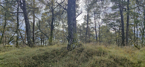 The highest point at Nordvest for Jonåsen