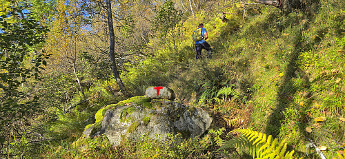 The marked trail from Kulset to Horgaholet