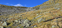 Viksetskaret