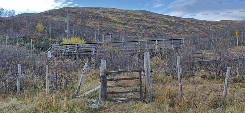 "Entering" Vieren train station