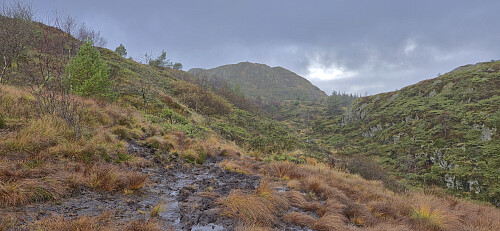Approaching Høgstefjellet on the muddy trail