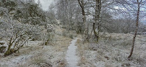 The trail north of Nordgardsfjellet