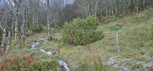 Looking back at the marked trailhead at Kistebakkane