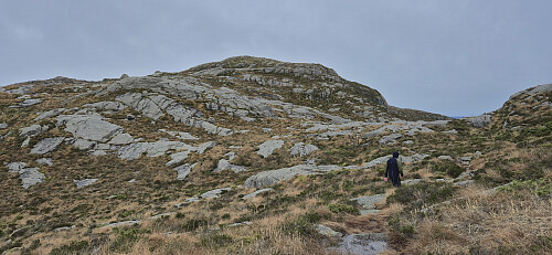 Approaching the summit