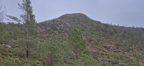 Øksefjellet from the trail