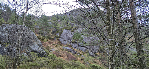 The most common type of trail marker