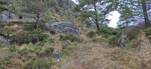 The other type of trail marker