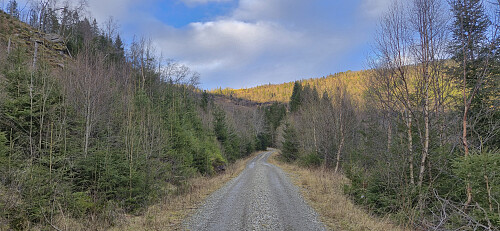 Helgastøl from Mikkjelstølsvegen